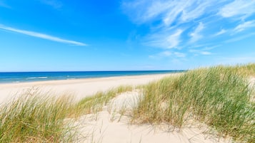 Vista desde la propiedad