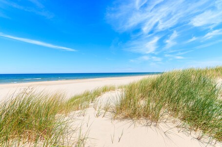 Grand Atlantic Ocean Resort - Image 24