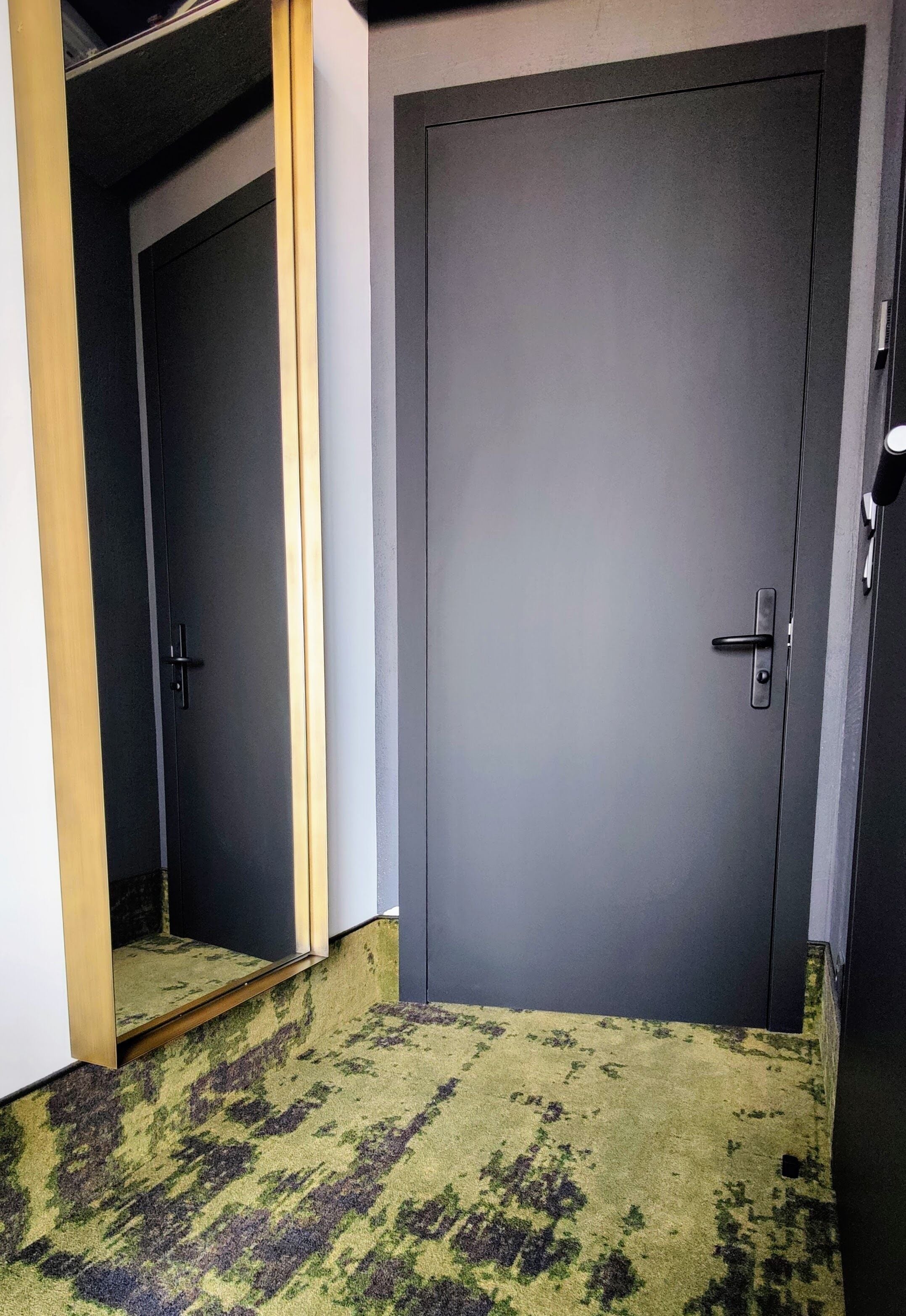 A room with two closed doors, a small step leading to a lower level, and a textured carpet.