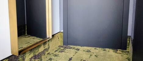 A room with two closed doors, a small step leading to a lower level, and a textured carpet.