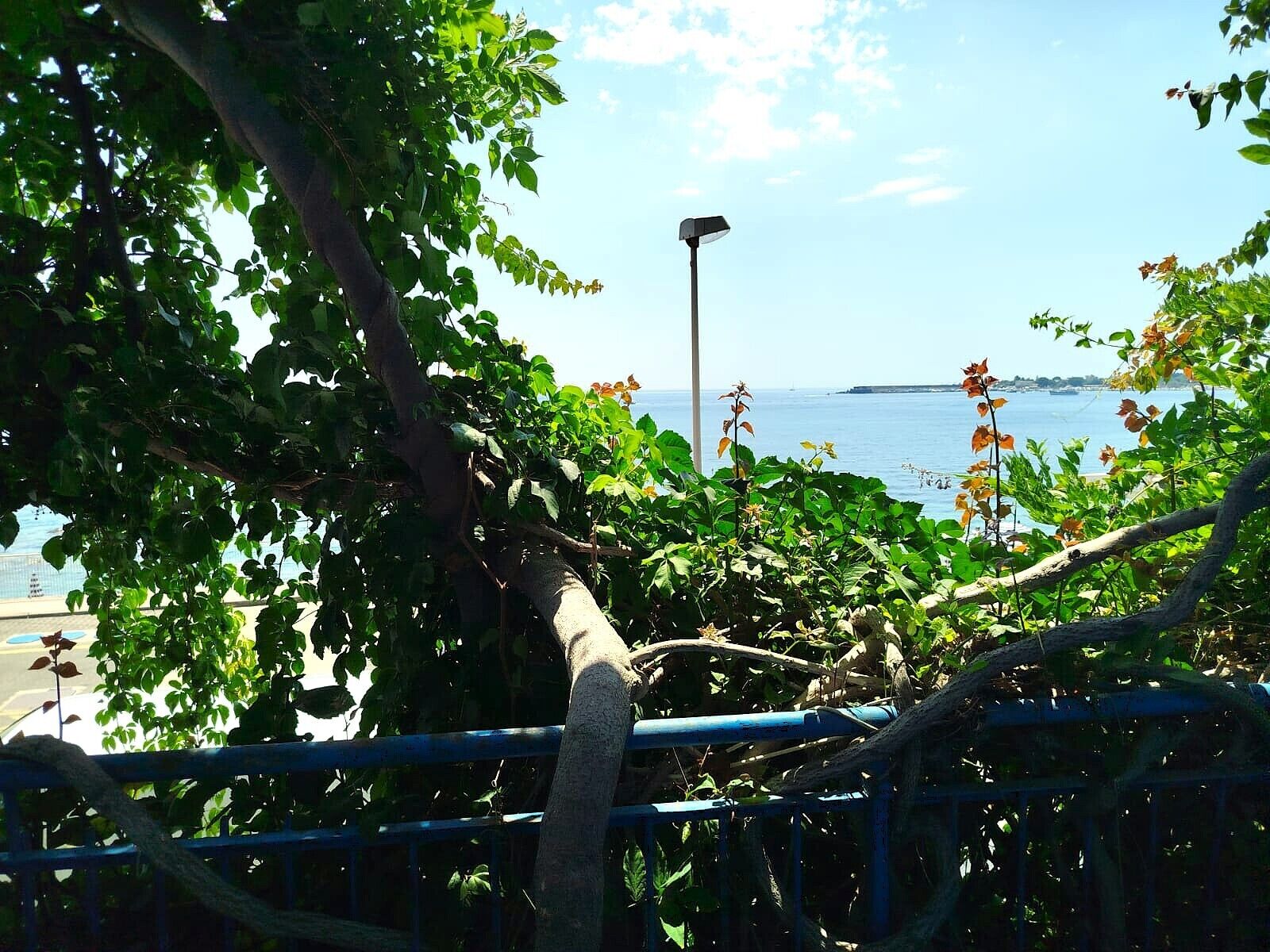 A coastal view with a metal railing, trees, and a street lamp.