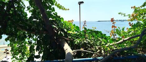 A coastal view with a metal railing, trees, and a street lamp.