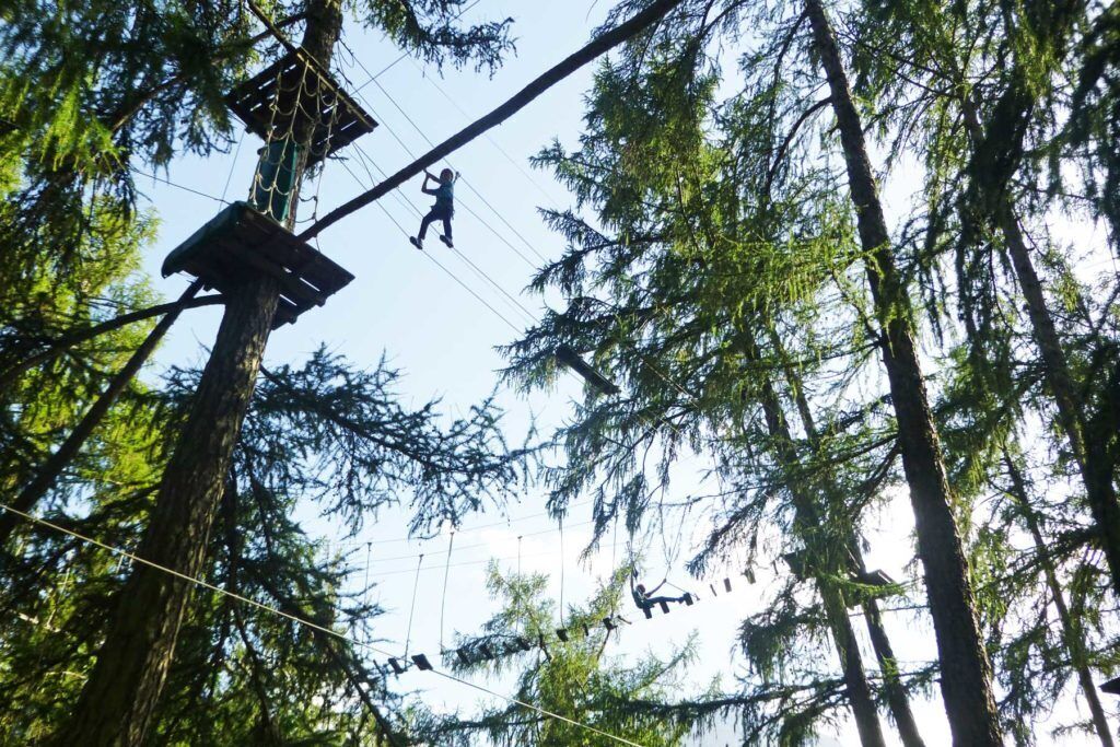 A forest with a rope bridge and a platform.