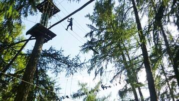 A forest with a rope bridge and a platform.
