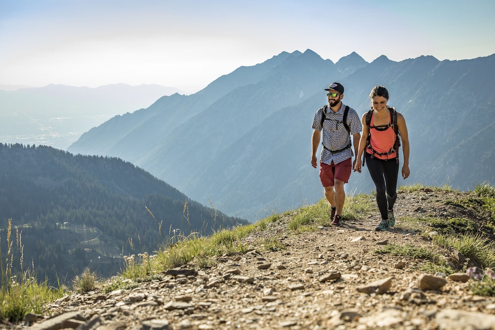 The Inn at Snowbird by null