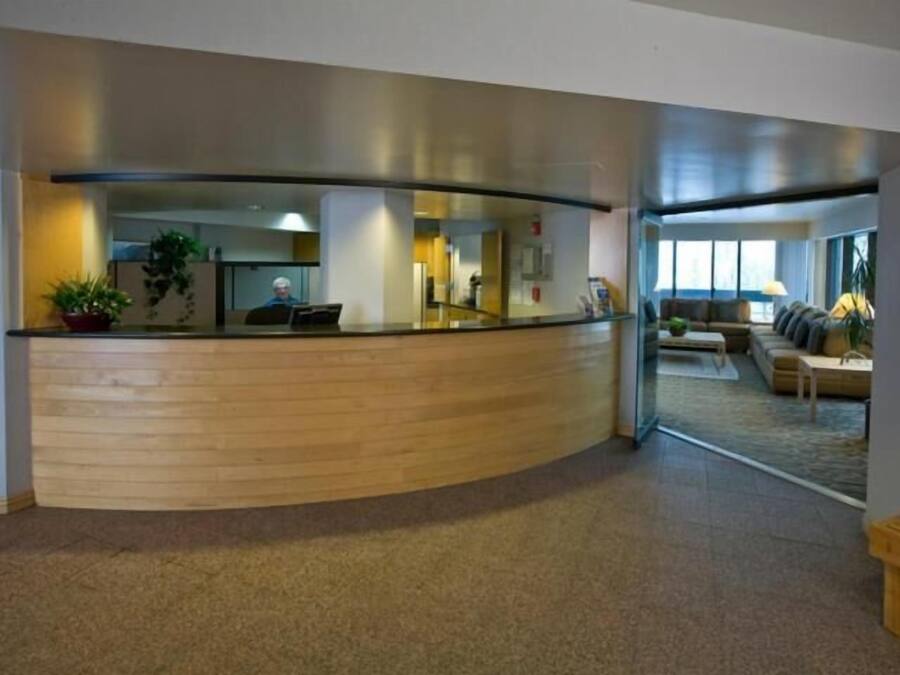 Una zona de recepción con un mostrador de madera curvado, una planta en maceta y vistas a un salón con sofá y mesa de centro.