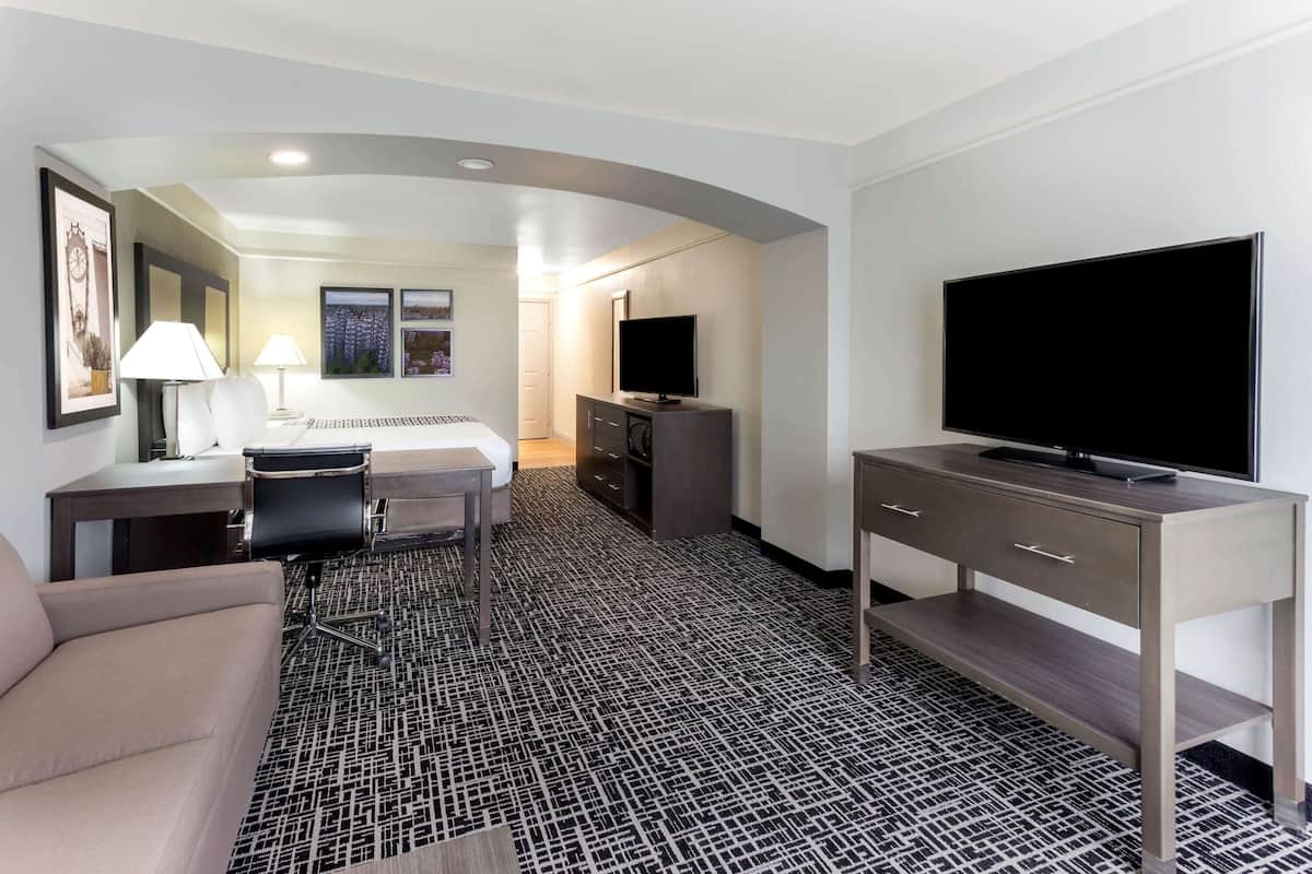 Deluxe Room, 1 King Bed, Non Smoking