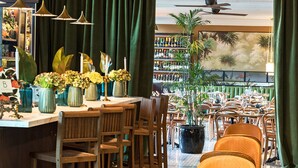 Un restaurante con área de bar, sillas de madera, una planta grande en maceta y piso de baldosas.