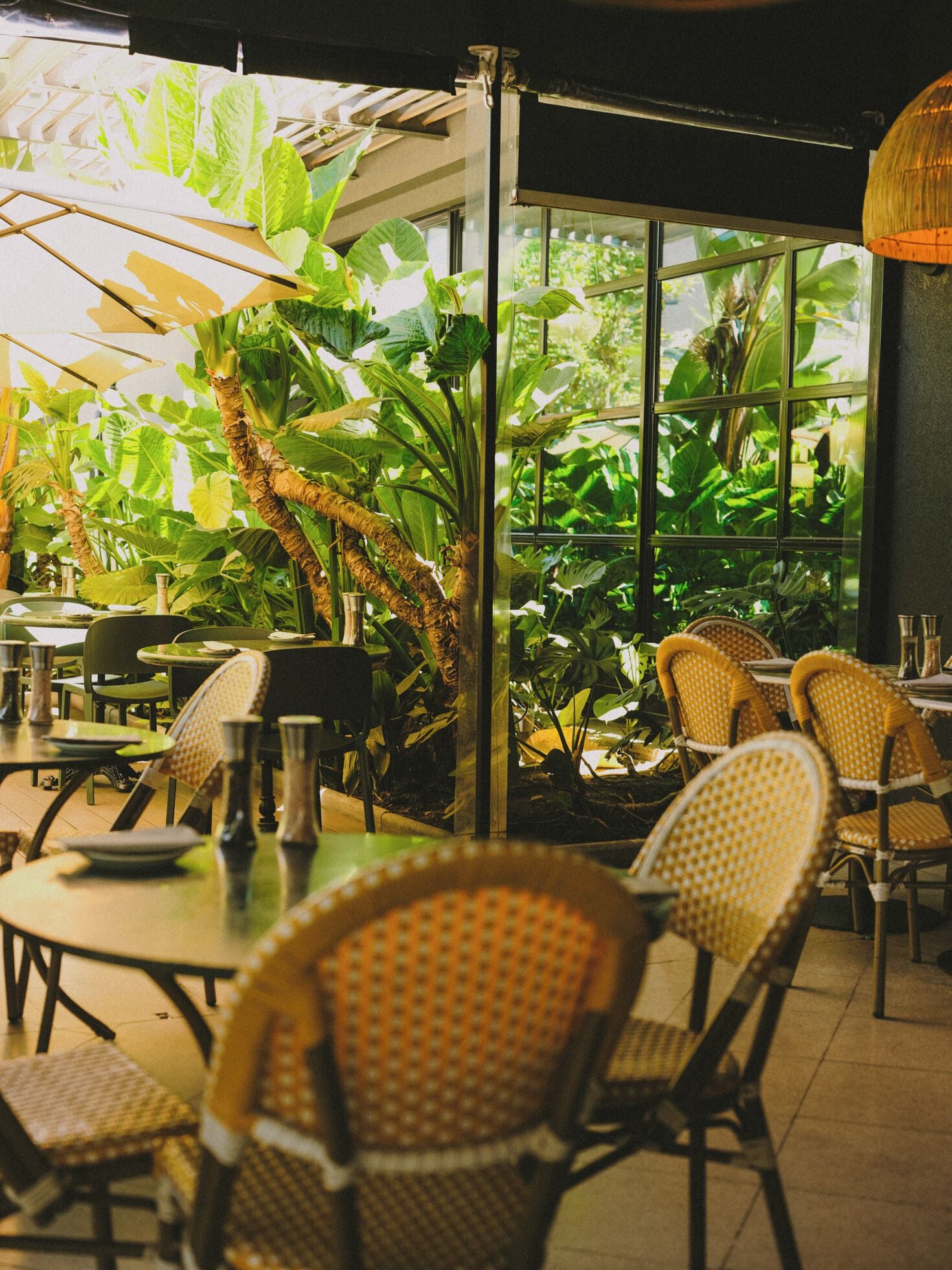 breakfast, lunch, dinner served; mediterranean cuisine, pool views