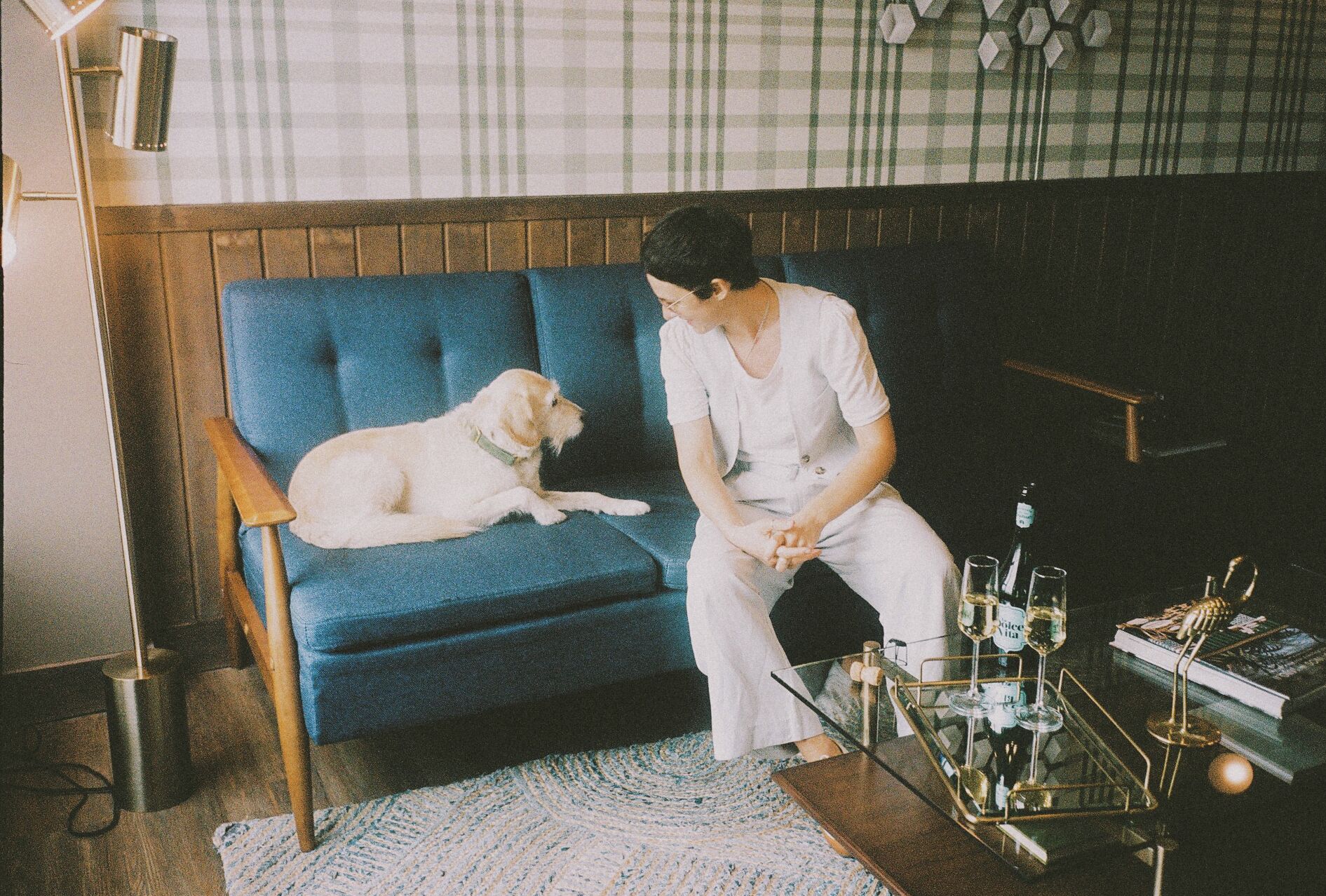 A room with a blue sofa, a white dog, and a glass table with bottles and glasses.