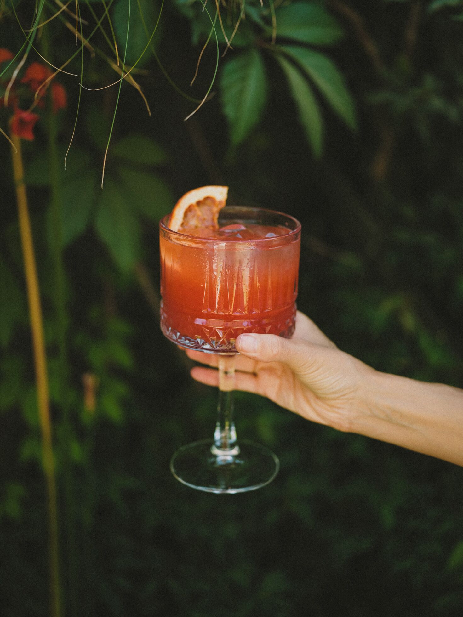 A hand holding a glass with a red beverage, garnished with an orange slice, against a backdrop of greenery.