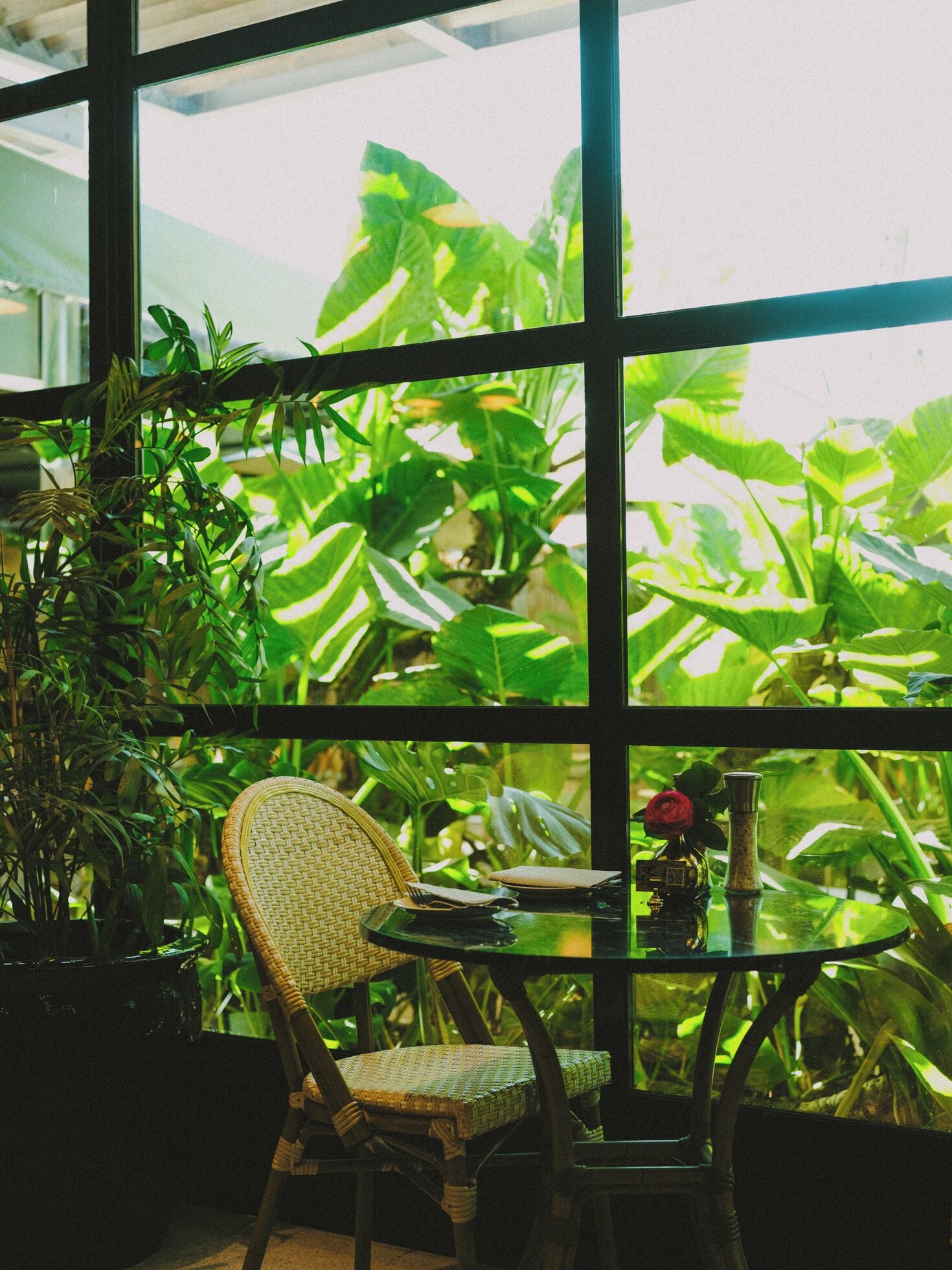 A room with a large window, a wicker chair, a small table, and a potted plant.