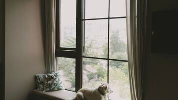 A room with a large window, a bed, and a dog sitting on the window sill.
