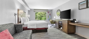 Hampton Inn Salem, VA