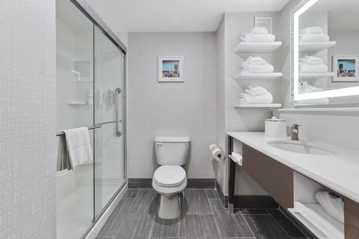 A modern bathroom with a glass shower enclosure, a toilet, a sink, and a mirror with towel racks.