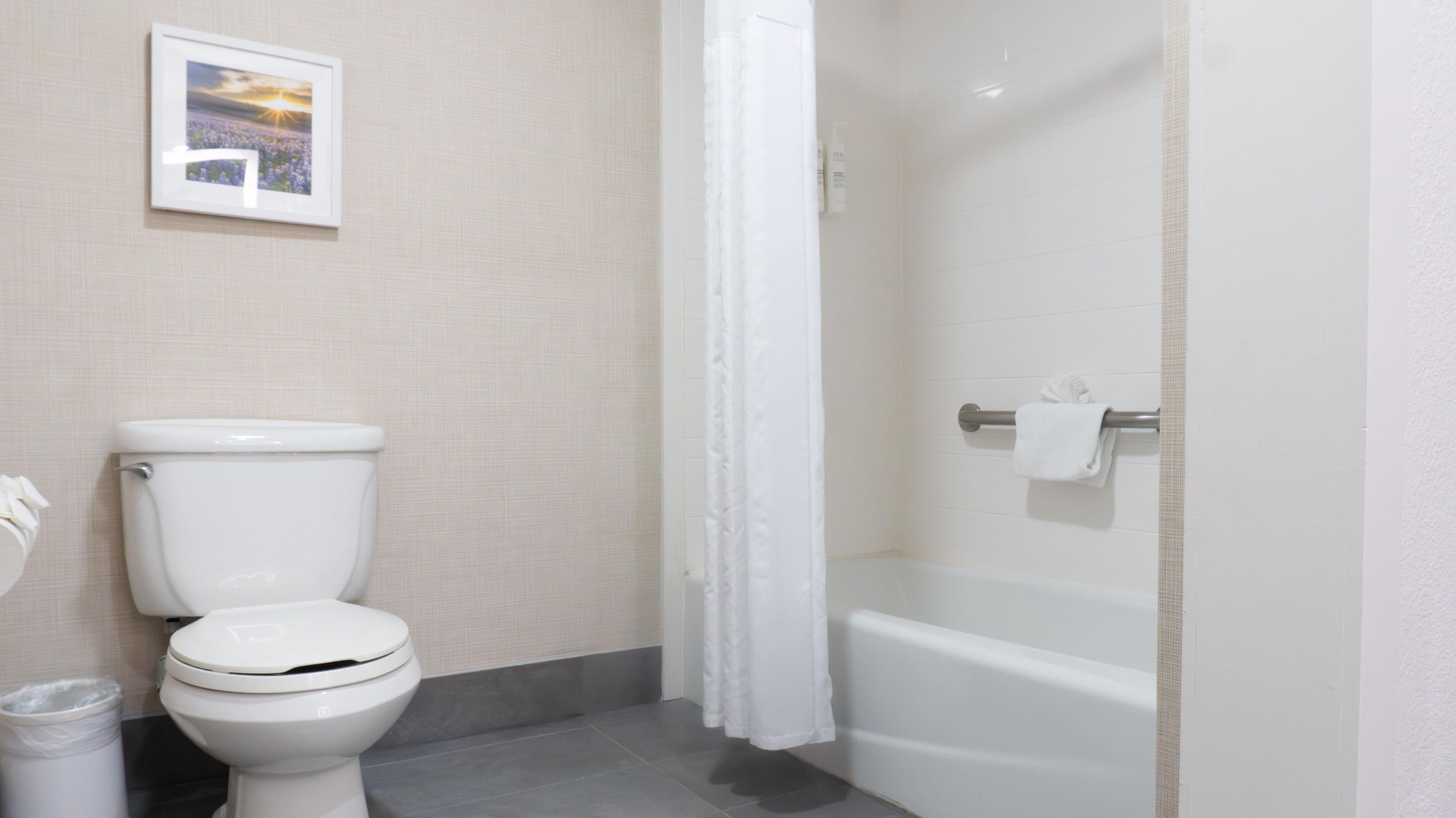 A bathroom with a toilet, a shower, and a towel rack.