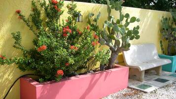 Jardín