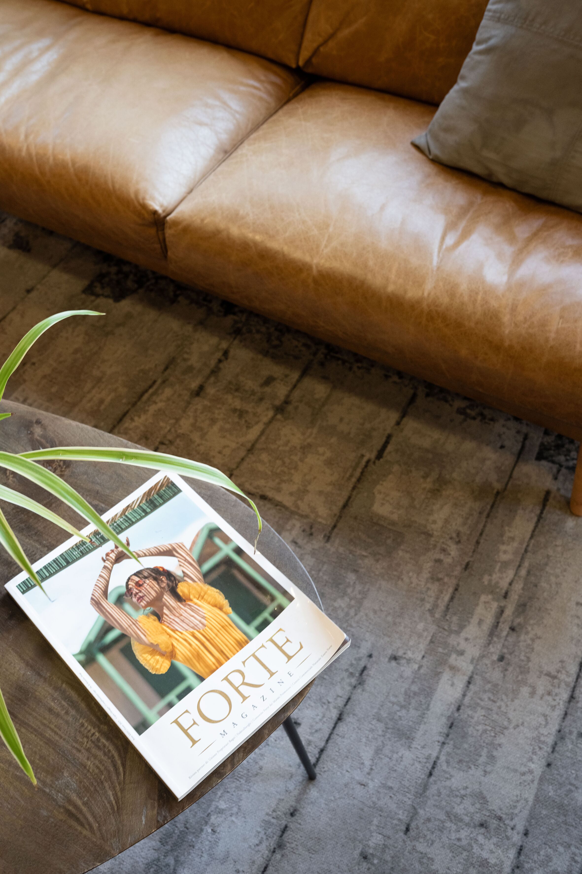 Una revista titulada "FORTE" sobre una mesa auxiliar con una planta a su lado.