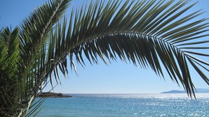 A beach with palm trees, a clear sky, and a calm sea. - Faedra Beach Hotel (Agios Nikolaos)