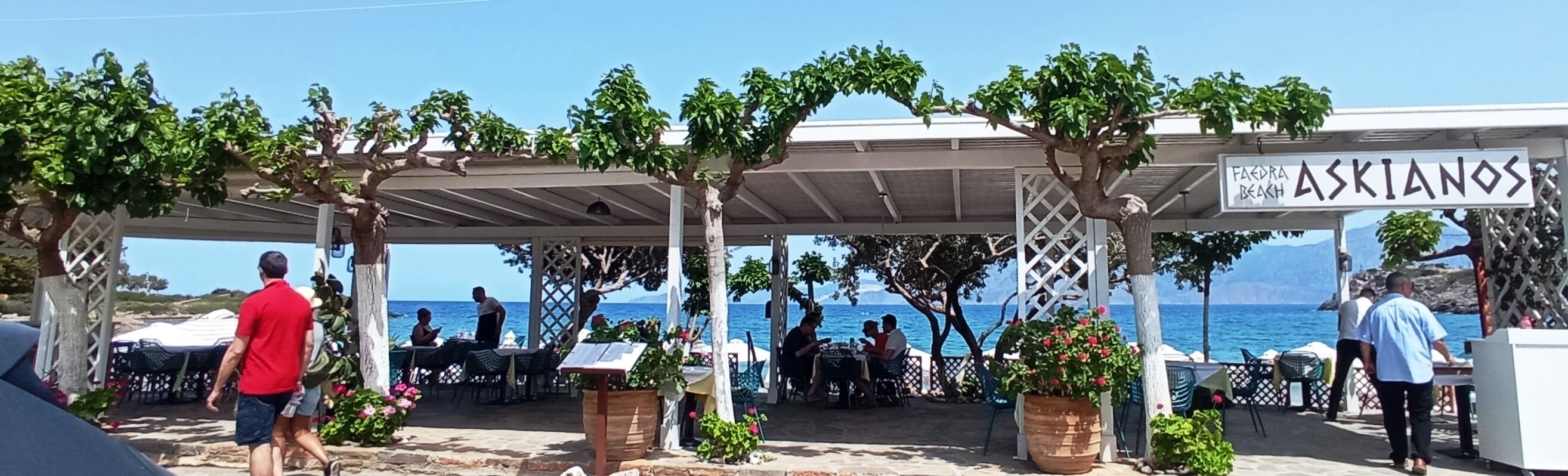 A beachside café with outdoor seating, a pergola structure, and a view of the sea.