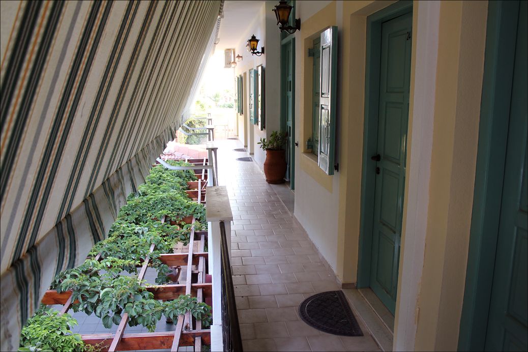 Ein Korridor mit einer Reihe von Blumentöpfen links, einem gefliesten Boden und einer Tür mit grünen Rollläden rechts.