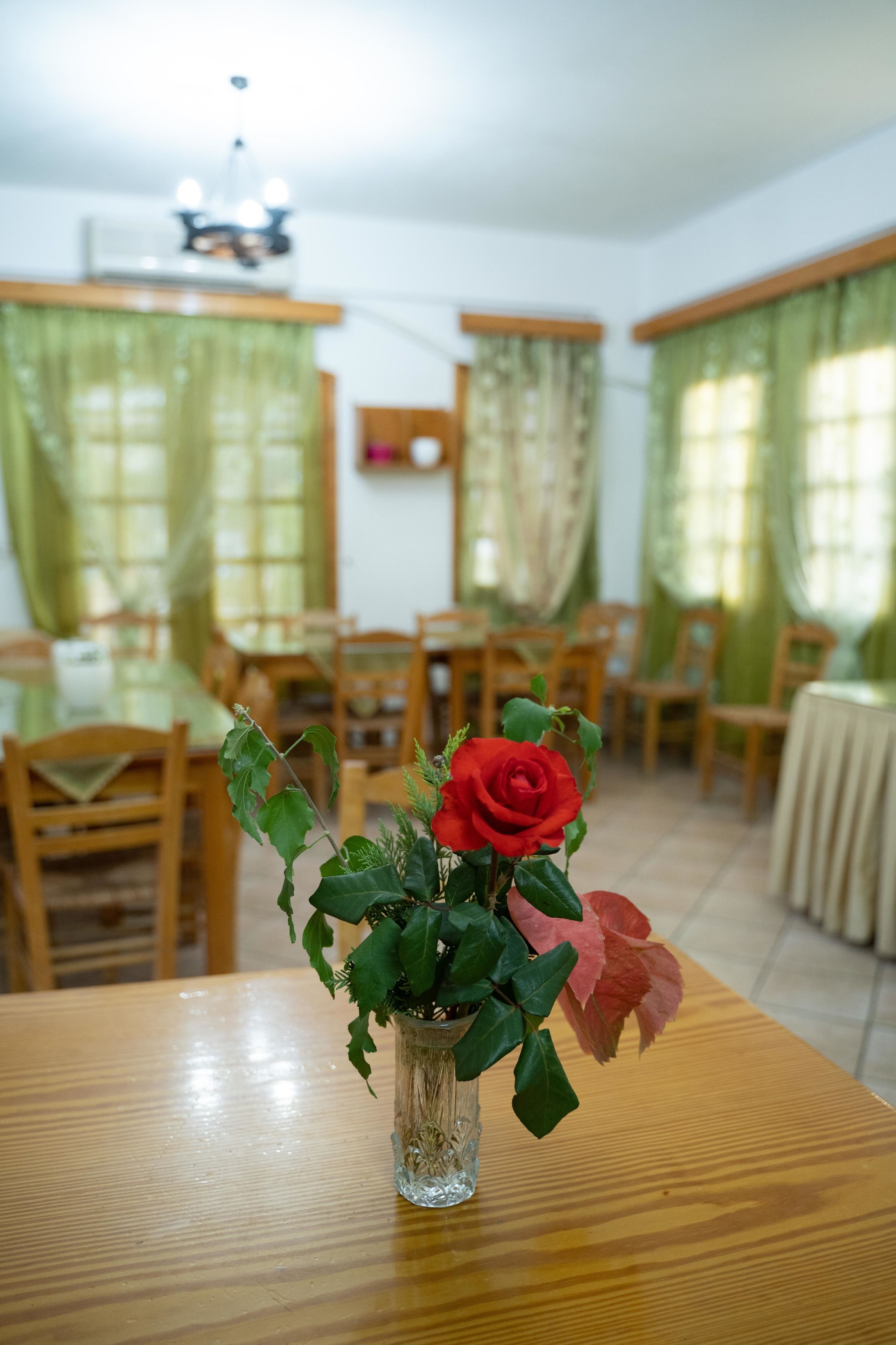 Un comedor con una mesa de madera, sillas y un florero con una rosa roja.