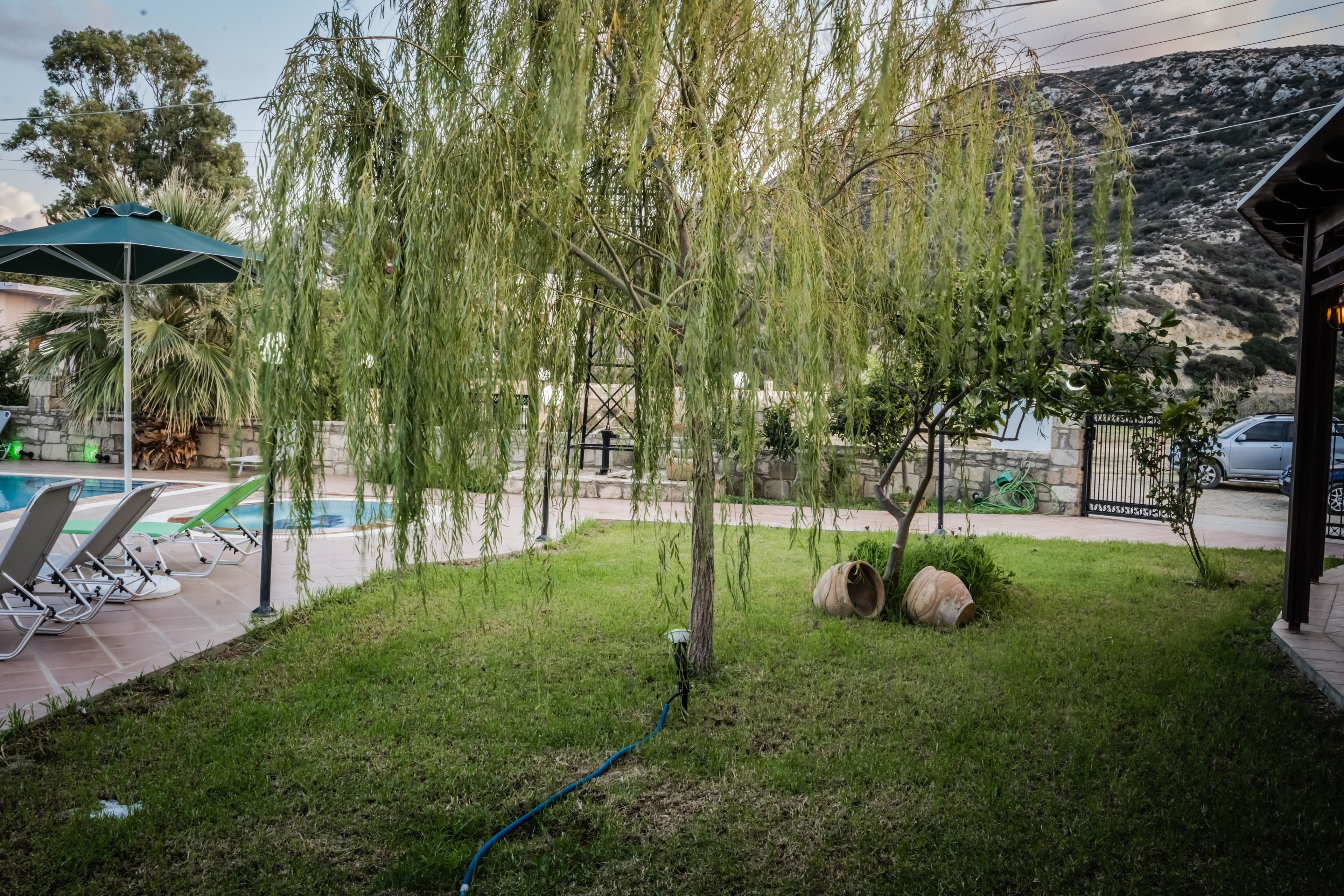 Petit déjeuner buffet (15 EUR par personne)