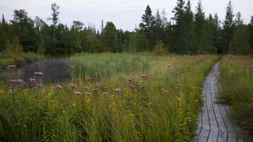 A wooden boardwalk through a grassy field with wildflowers and trees in the background.