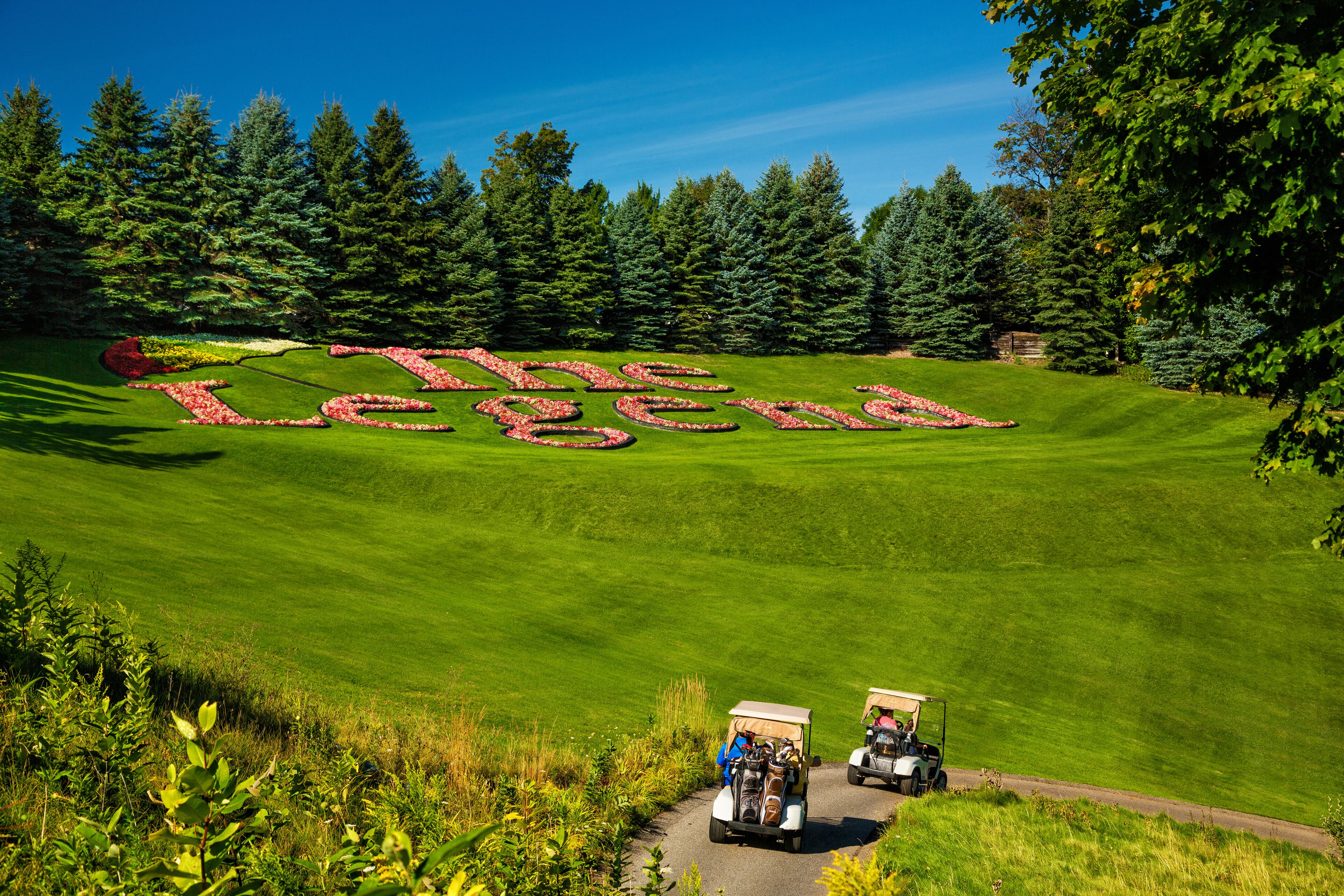 A golf course with a large, red and green text spelling "The Legend" on the grass, surrounded by trees and two golf carts.