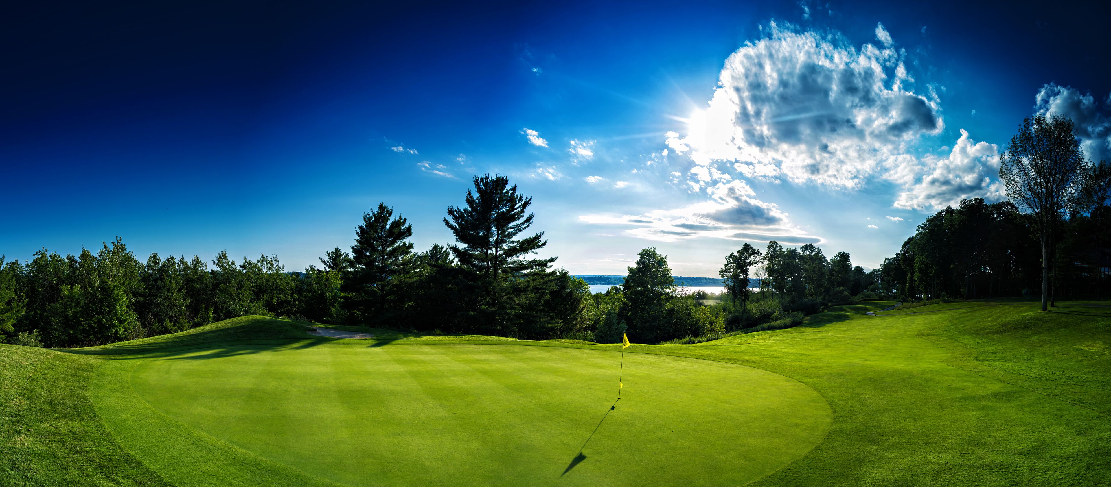 A golf course with a flagstick, surrounded by trees and a clear sky.