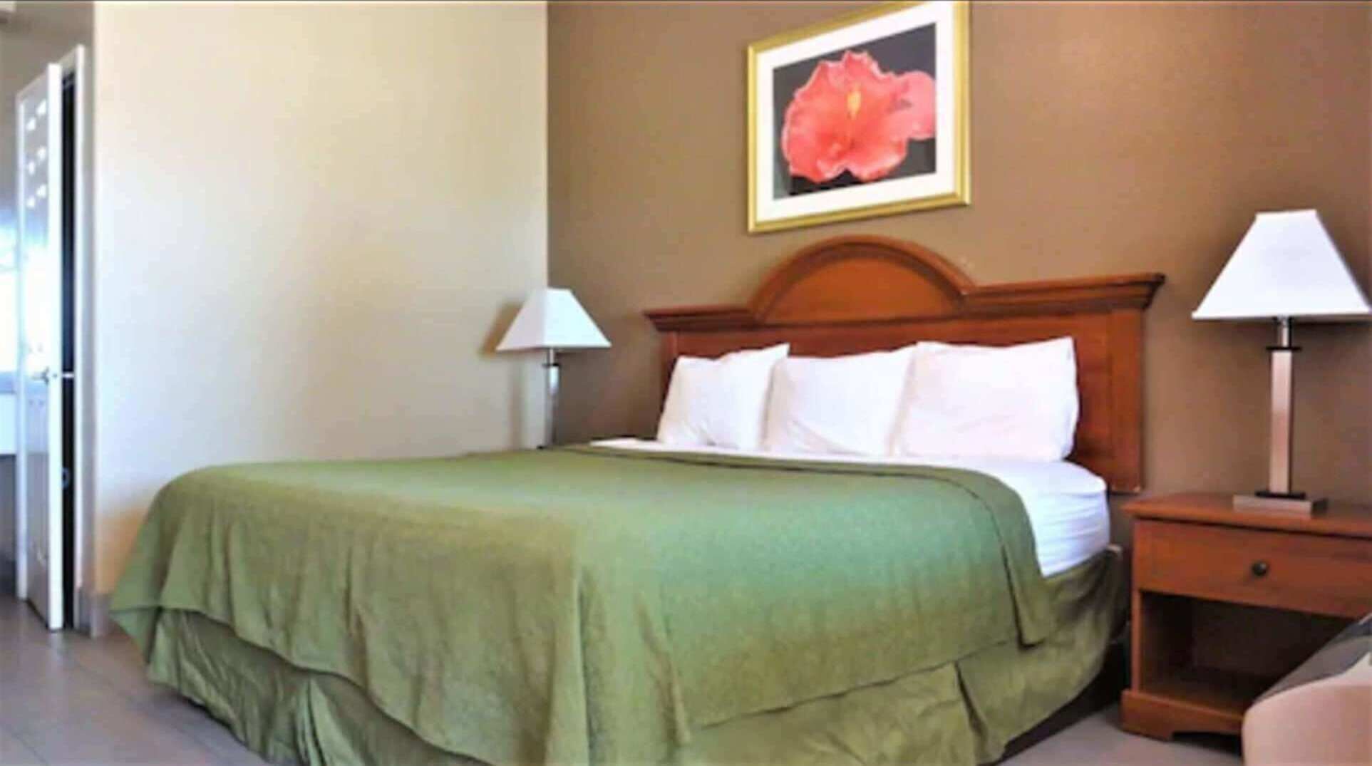 Premium bedding, iron/ironing board, free WiFi, bed sheets
