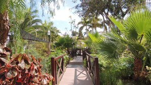 A wooden bridge with railings, surrounded by lush greenery and palm trees. - Park Club Europe - All Inclusive (Arona)