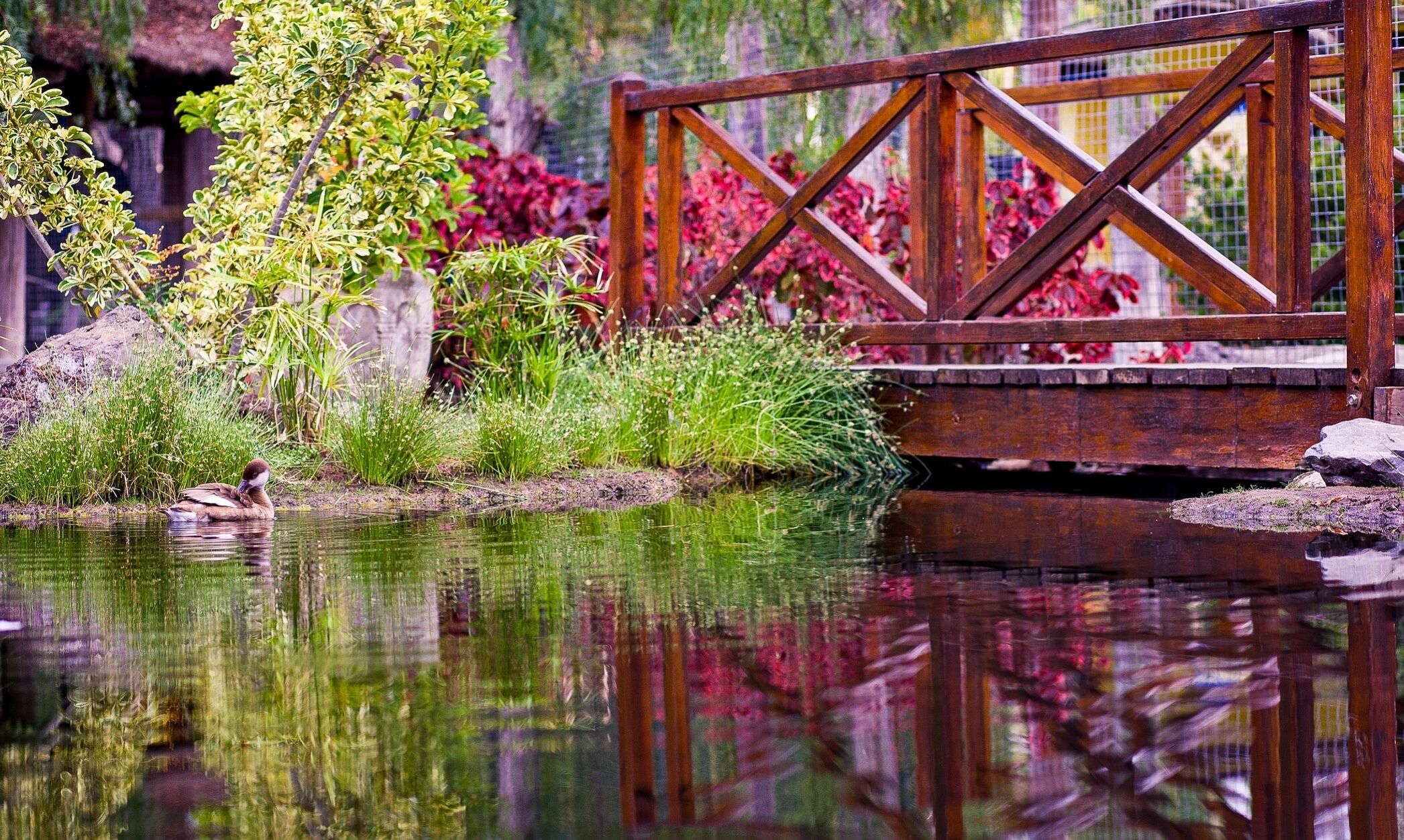 Photo - Park Club Europe - All Inclusive Resort