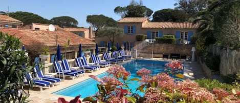 Outdoor pool, pool umbrellas, sun loungers