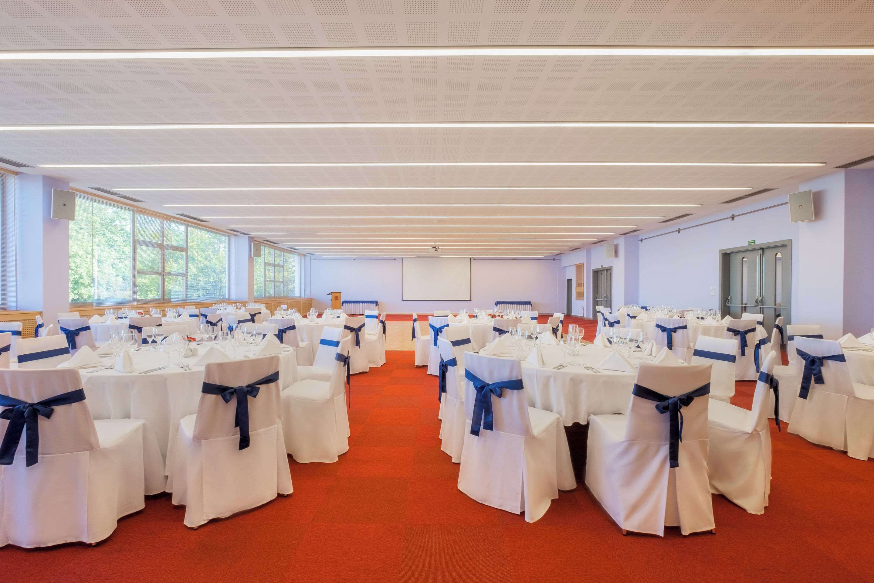 Un salón amplio con filas de mesas y sillas blancas, cada una con un lazo azul, y un suelo cubierto de alfombra roja.