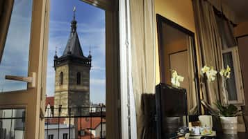 Vista desde la propiedad