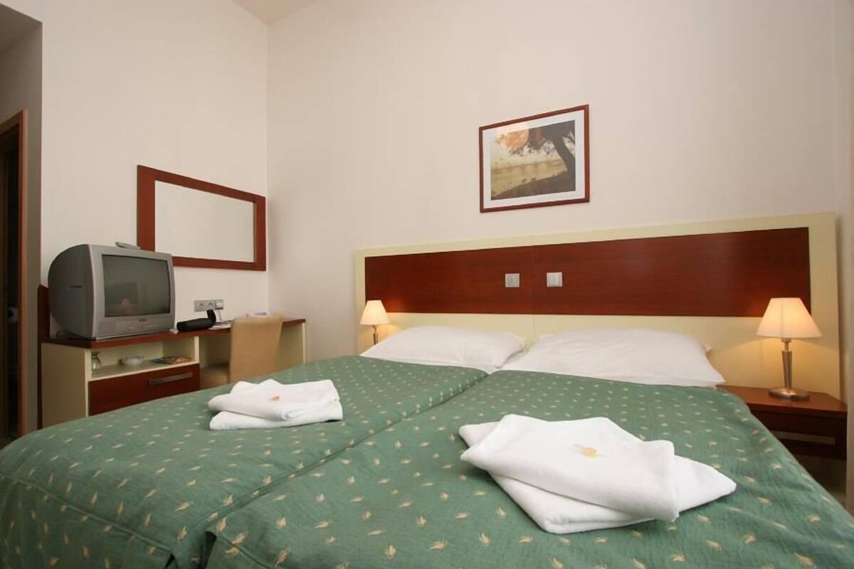 Habitación de hotel con una cama doble, dos lámparas de noche, un televisor sobre un pedestal de madera y un cuadro en la pared.
