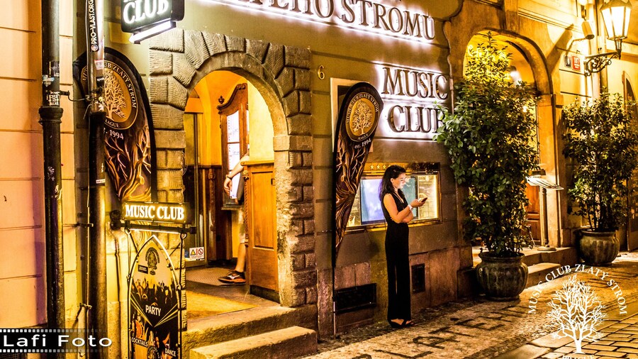 Hotel U Zlatého Stromu Prague by BHG