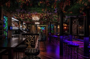 Uma área de bar com um balcão comprido, vários bancos e um teto decorado com plantas pendentes e um candelabro.