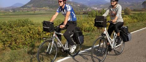 Two cyclists on a road with a mountainous landscape in the background.