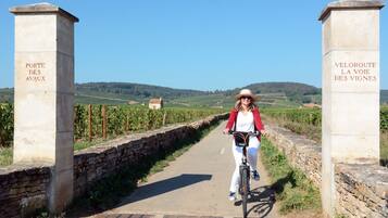 A person riding a bicycle on a paved path flanked by stone walls, with a rural landscape in the background.