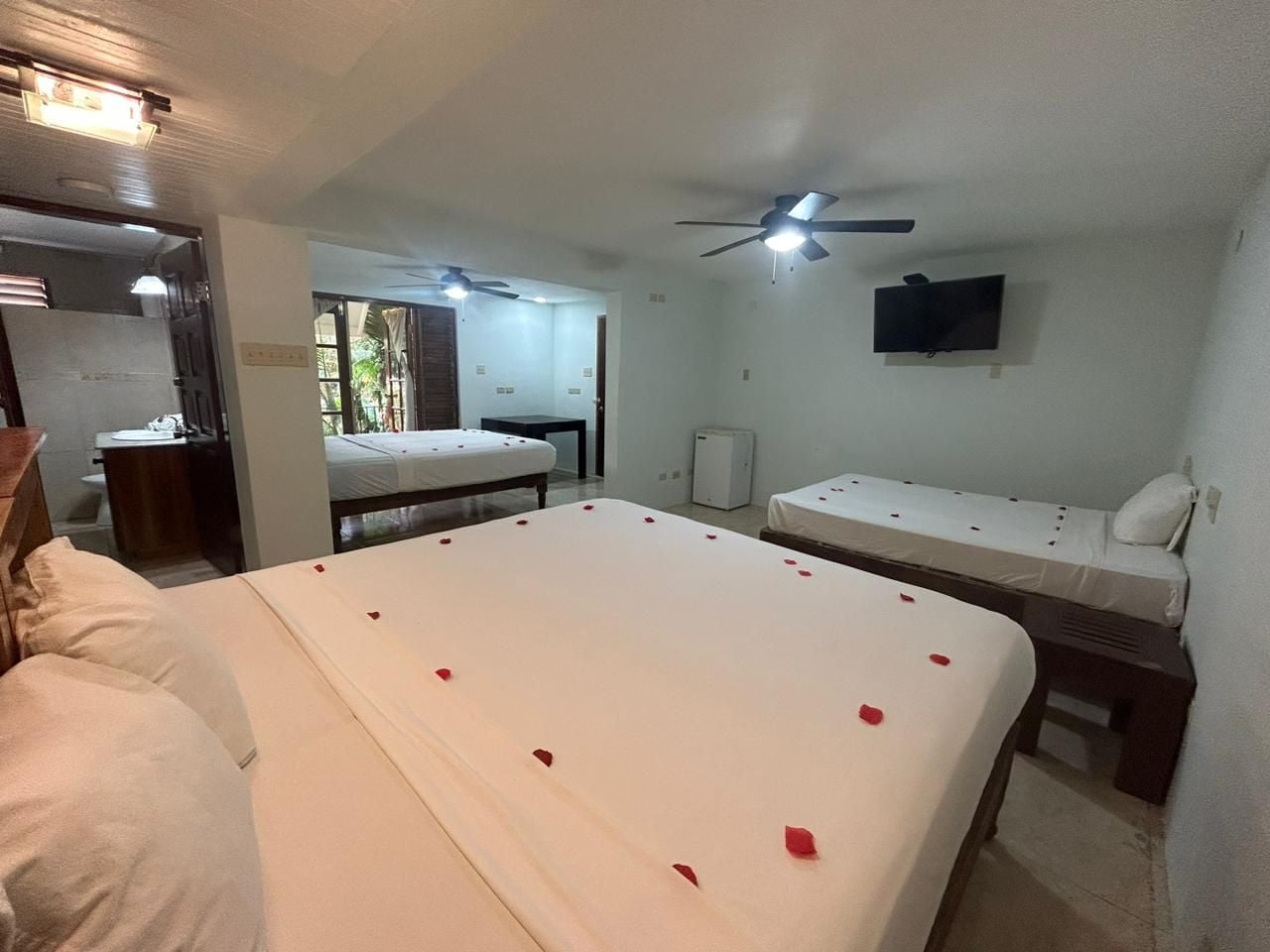 Una habitación de hotel con una cama grande, una cama más pequeña, un escritorio, una silla, un televisor y un ventilador de techo.