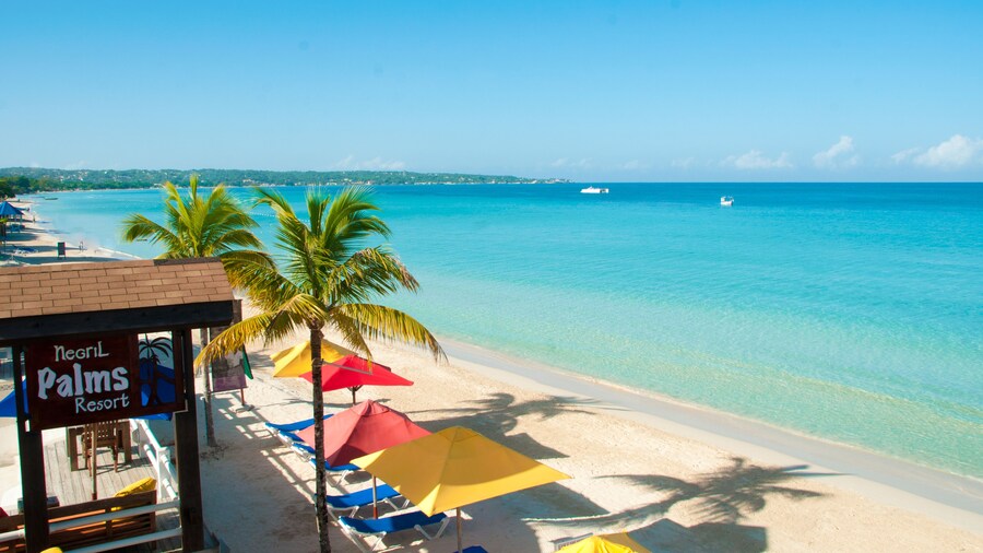 Negril Palms