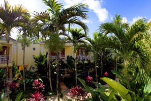 Property grounds - Negril Palms (Negril)