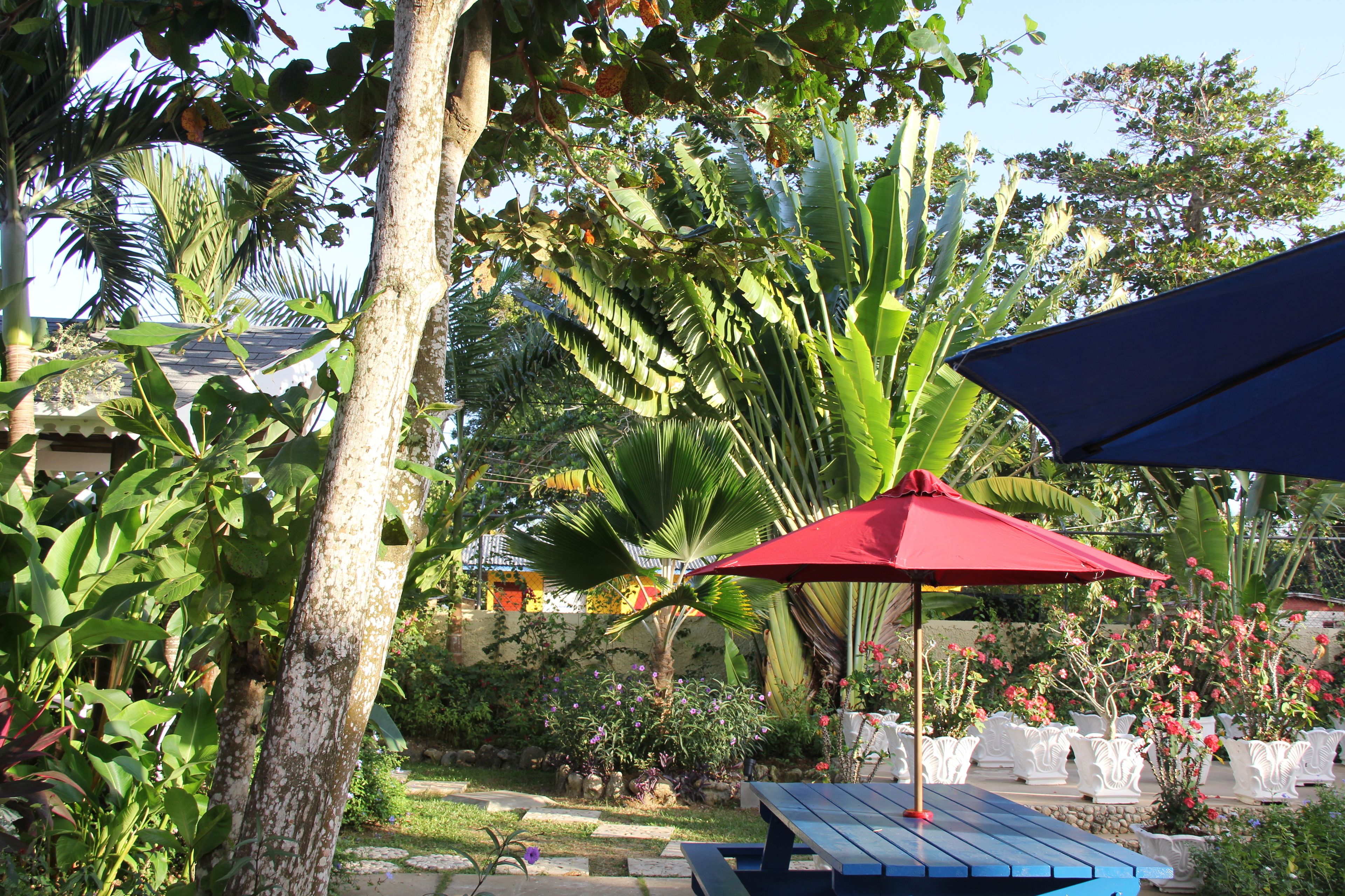 Un espace jardin agrémenté d’une table de pique-nique et d’un parasol rouge, entouré de différentes plantes et arbres.