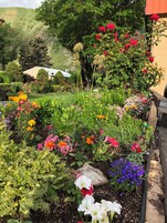 Um jardim com diversas flores e plantas, uma cerca de madeira e um edifício ao fundo.