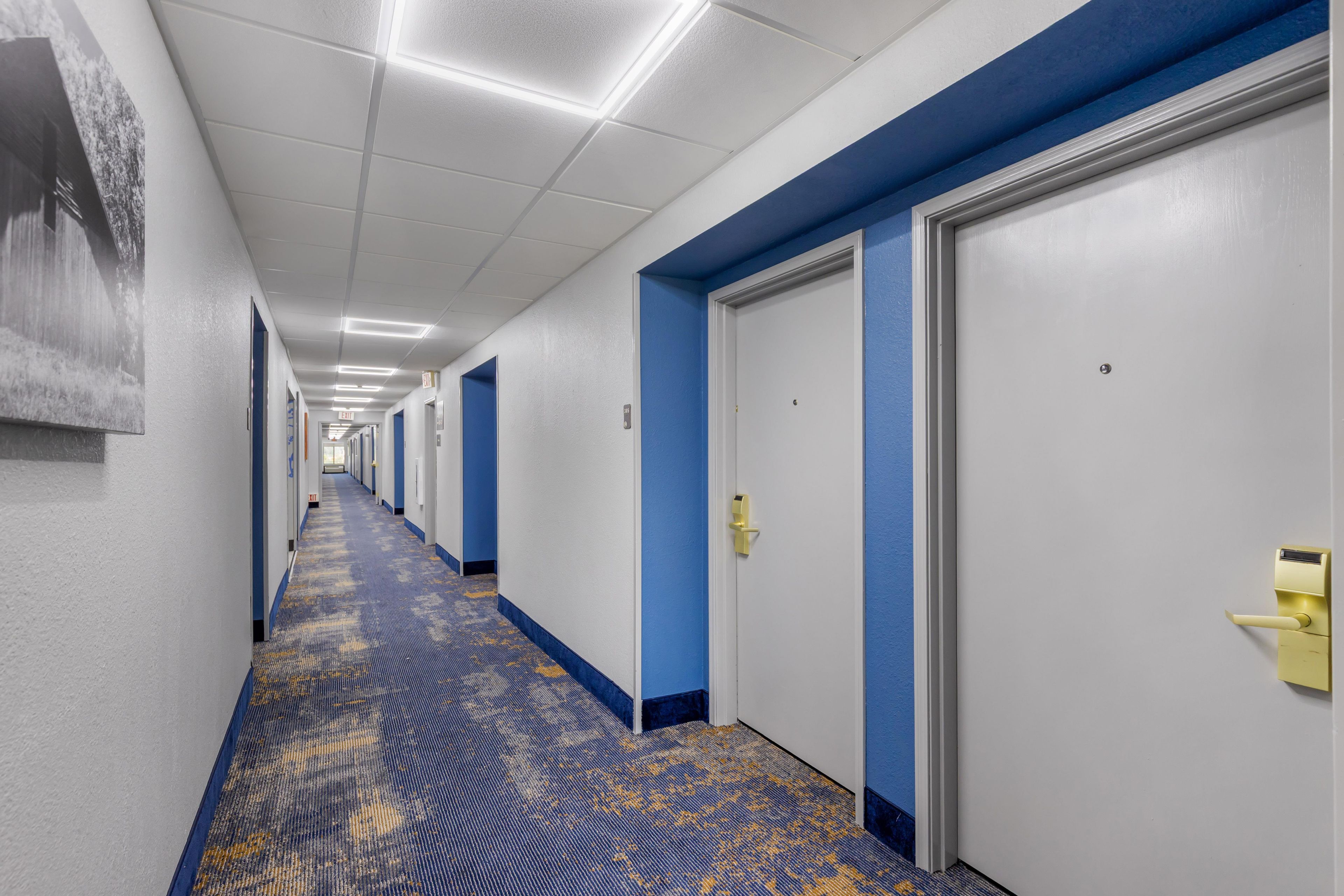 A hotel corridor with blue walls, white doors, and a patterned carpet.