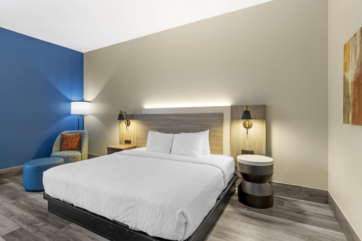 Habitación estándar, 1 cama King size, con acceso para personas discapacitadas | Ropa de cama hipoalergénica, edredón, camas con pillow-top y escritorio 
