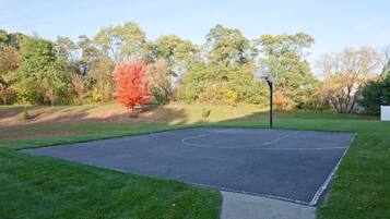 A basketball court with a hoop, surrounded by grass and trees.