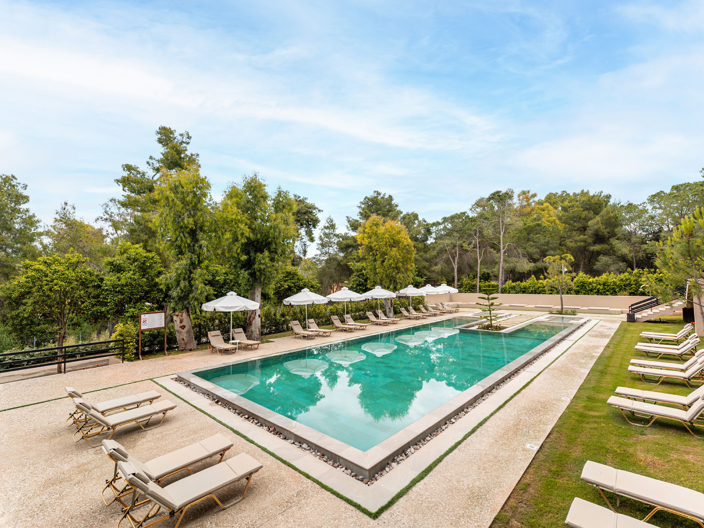 Una piscina rectangular con sillones de descanso y sombrillas a lo largo del borde, rodeada de árboles y un césped cuidado.